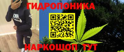 мдпв Ртищево